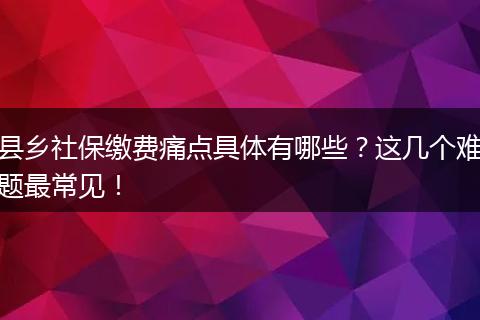 县乡社保缴费痛点具体有哪些？这几个难题最常见！