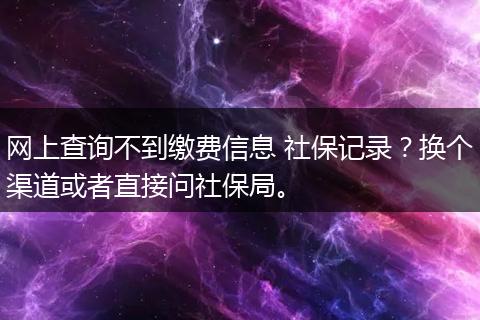 网上查询不到缴费信息 社保记录？换个渠道或者直接问社保局。