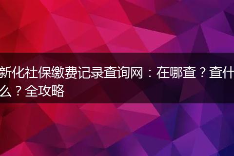 新化社保缴费记录查询网：在哪查？查什么？全攻略