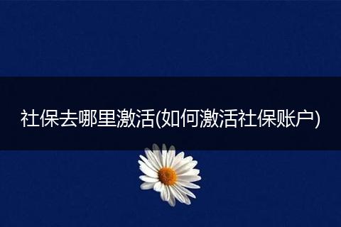 社保去哪里激活(如何激活社保账户)