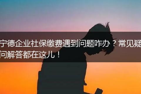 宁德企业社保缴费遇到问题咋办？常见疑问解答都在这儿！
