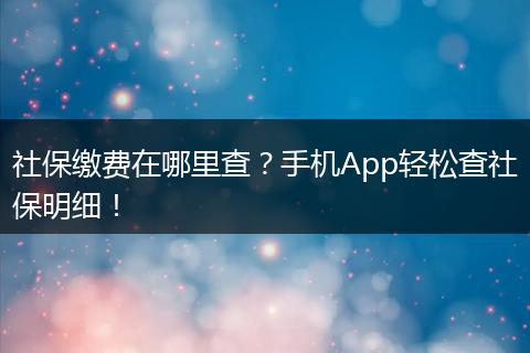 社保缴费在哪里查？手机App轻松查社保明细！
