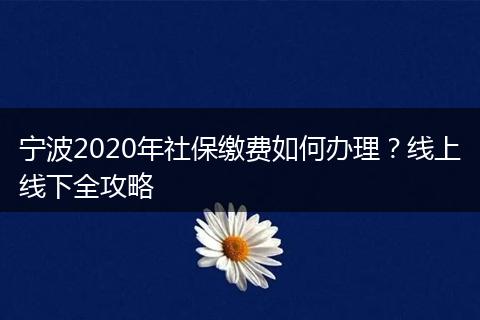 宁波2020年社保缴费如何办理？线上线下全攻略