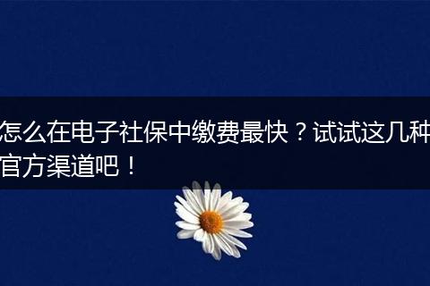 怎么在电子社保中缴费最快？试试这几种官方渠道吧！