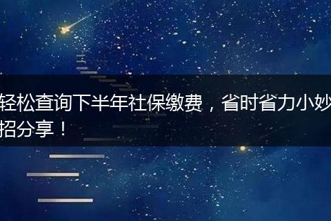 轻松查询下半年社保缴费，省时省力小妙招分享！