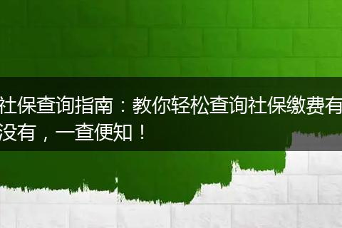 社保查询指南：教你轻松查询社保缴费有没有，一查便知！