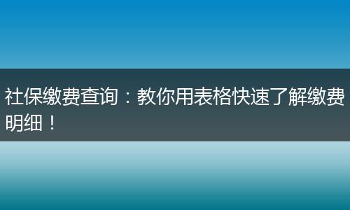 社保缴费查询：教你用表格快速了解缴费明细！