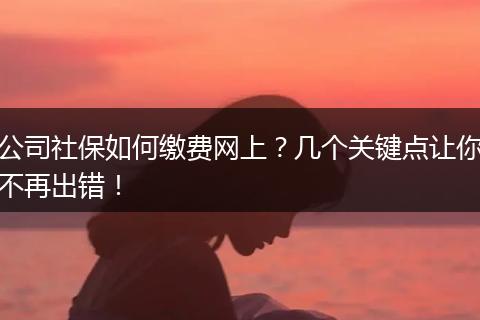 公司社保如何缴费网上？几个关键点让你不再出错！