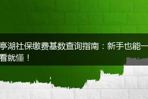 亭湖社保缴费基数查询指南:新手也能一看就懂!