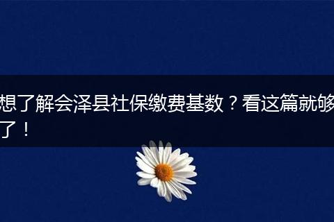 想了解会泽县社保缴费基数？看这篇就够了！