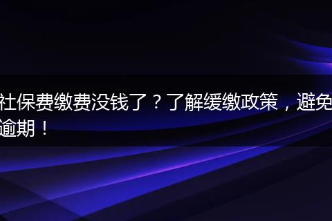 社保费缴费没钱了？了解缓缴政策，避免逾期！