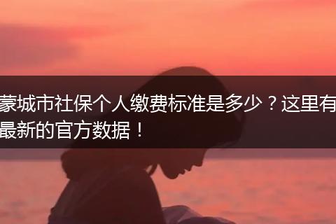 蒙城市社保个人缴费标准是多少？这里有最新的官方数据！