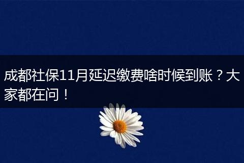 成都社保11月延迟缴费啥时候到账？大家都在问！