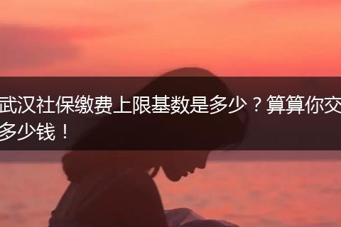 武汉社保缴费上限基数是多少？算算你交多少钱！