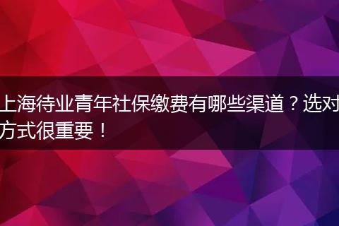 上海待业青年社保缴费有哪些渠道？选对方式很重要！