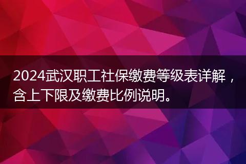2024武汉职工社保缴费等级表详解，含上下限及缴费比例说明。