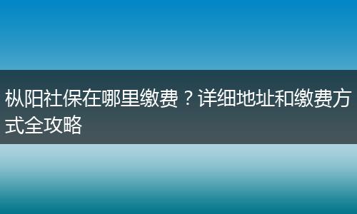 枞阳社保在哪里缴费？详细地址和缴费方式全攻略