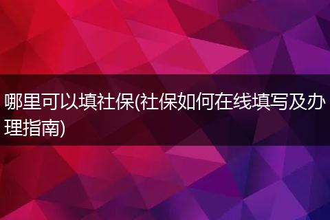 哪里可以填社保(社保如何在线填写及办理指南)