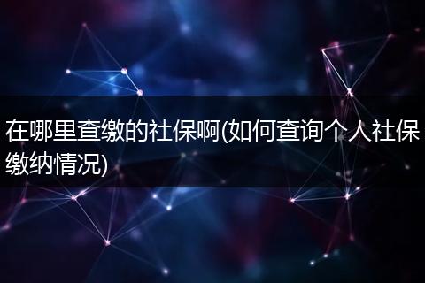 在哪里查缴的社保啊(如何查询个人社保缴纳情况)