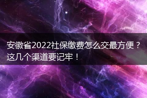 安徽省2022社保缴费怎么交最方便？这几个渠道要记牢！