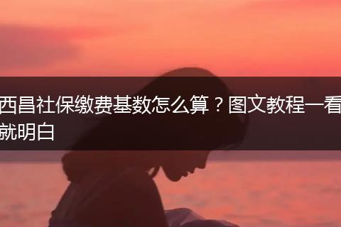 西昌社保缴费基数怎么算？图文教程一看就明白