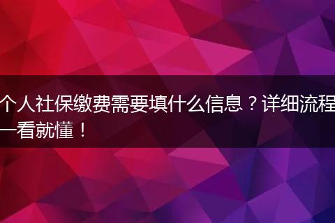 个人社保缴费需要填什么信息？详细流程一看就懂！