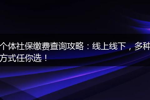 个体社保缴费查询攻略：线上线下，多种方式任你选！