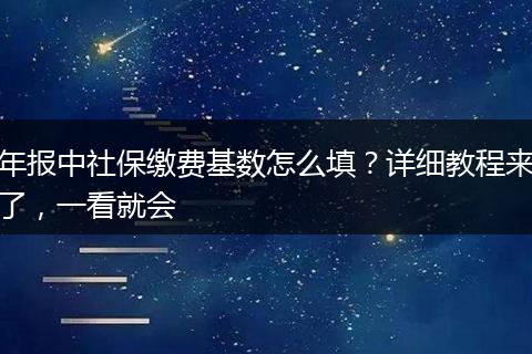 年报中社保缴费基数怎么填？详细教程来了，一看就会