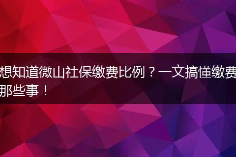 想知道微山社保缴费比例？一文搞懂缴费那些事！