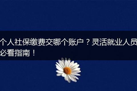 个人社保缴费交哪个账户？灵活就业人员必看指南！