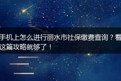 手机上怎么进行丽水市社保缴费查询？看这篇攻略就够了！