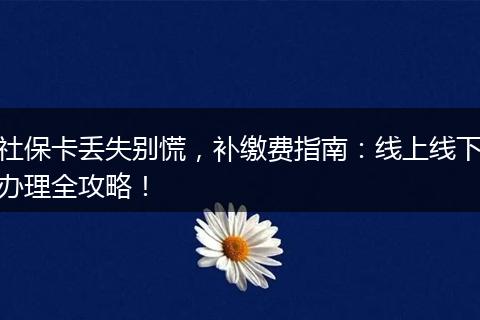 社保卡丢失别慌，补缴费指南：线上线下办理全攻略！
