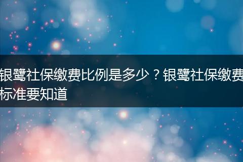银鹭社保缴费比例是多少？银鹭社保缴费标准要知道
