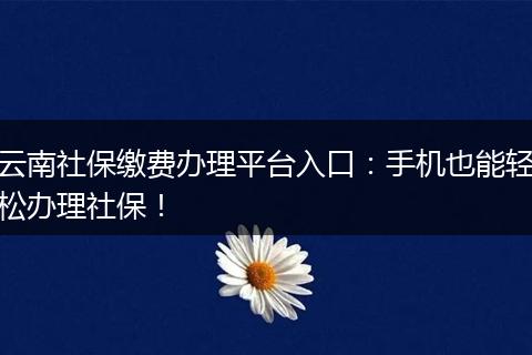 云南社保缴费办理平台入口：手机也能轻松办理社保！