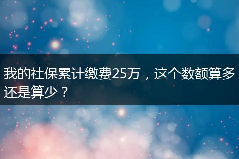 我的社保累计缴费25万，这个数额算多还是算少？