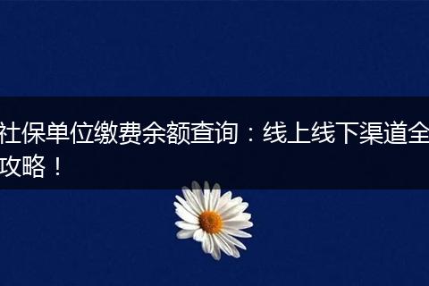 社保单位缴费余额查询：线上线下渠道全攻略！