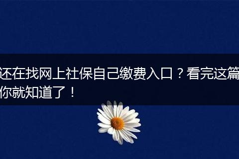 还在找网上社保自己缴费入口?看完这篇你就知道了!