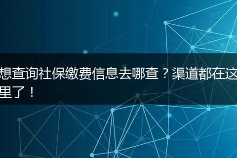 想查询社保缴费信息去哪查？渠道都在这里了！