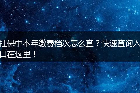 社保中本年缴费档次怎么查？快速查询入口在这里！