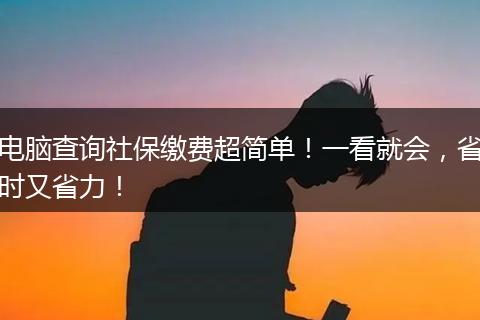 电脑查询社保缴费超简单！一看就会，省时又省力！