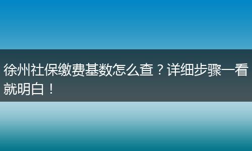 徐州社保缴费基数怎么查？详细步骤一看就明白！