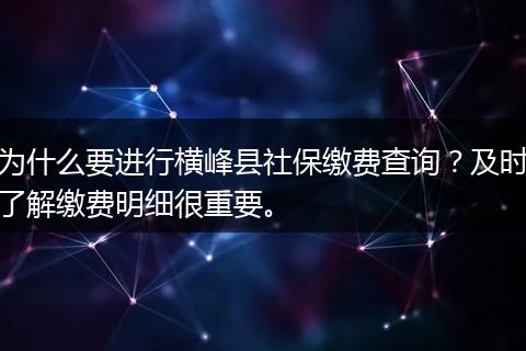 为什么要进行横峰县社保缴费查询？及时了解缴费明细很重要。