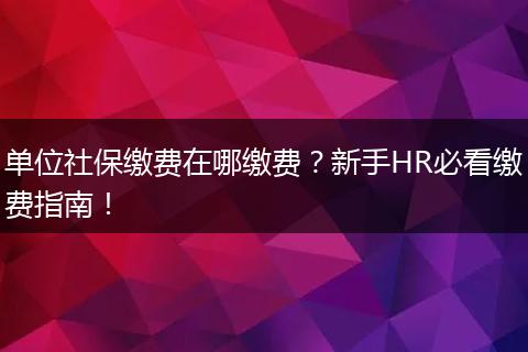 单位社保缴费在哪缴费？新手HR必看缴费指南！