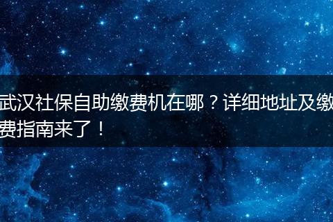 武汉社保自助缴费机在哪？详细地址及缴费指南来了！