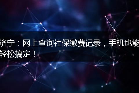 济宁：网上查询社保缴费记录，手机也能轻松搞定！
