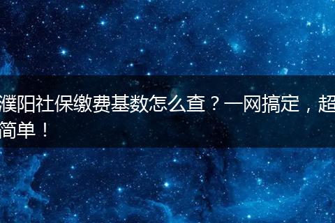 濮阳社保缴费基数怎么查？一网搞定，超简单！