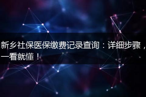 新乡社保医保缴费记录查询：详细步骤，一看就懂！