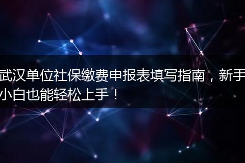 武汉单位社保缴费申报表填写指南，新手小白也能轻松上手！
