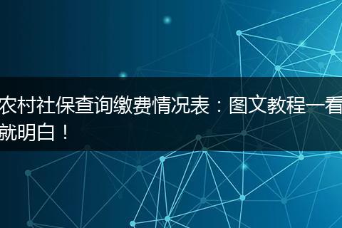 农村社保查询缴费情况表:图文教程一看就明白!
