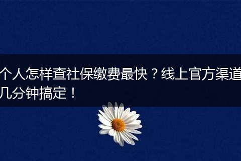个人怎样查社保缴费最快?线上官方渠道几分钟搞定!